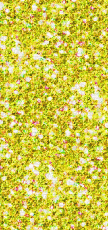 Lavatory Rentals in California