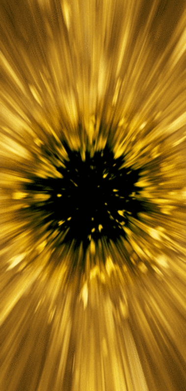 Lavatory Rentals in California