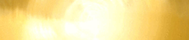 Porta Potty Chemical Toilets in California